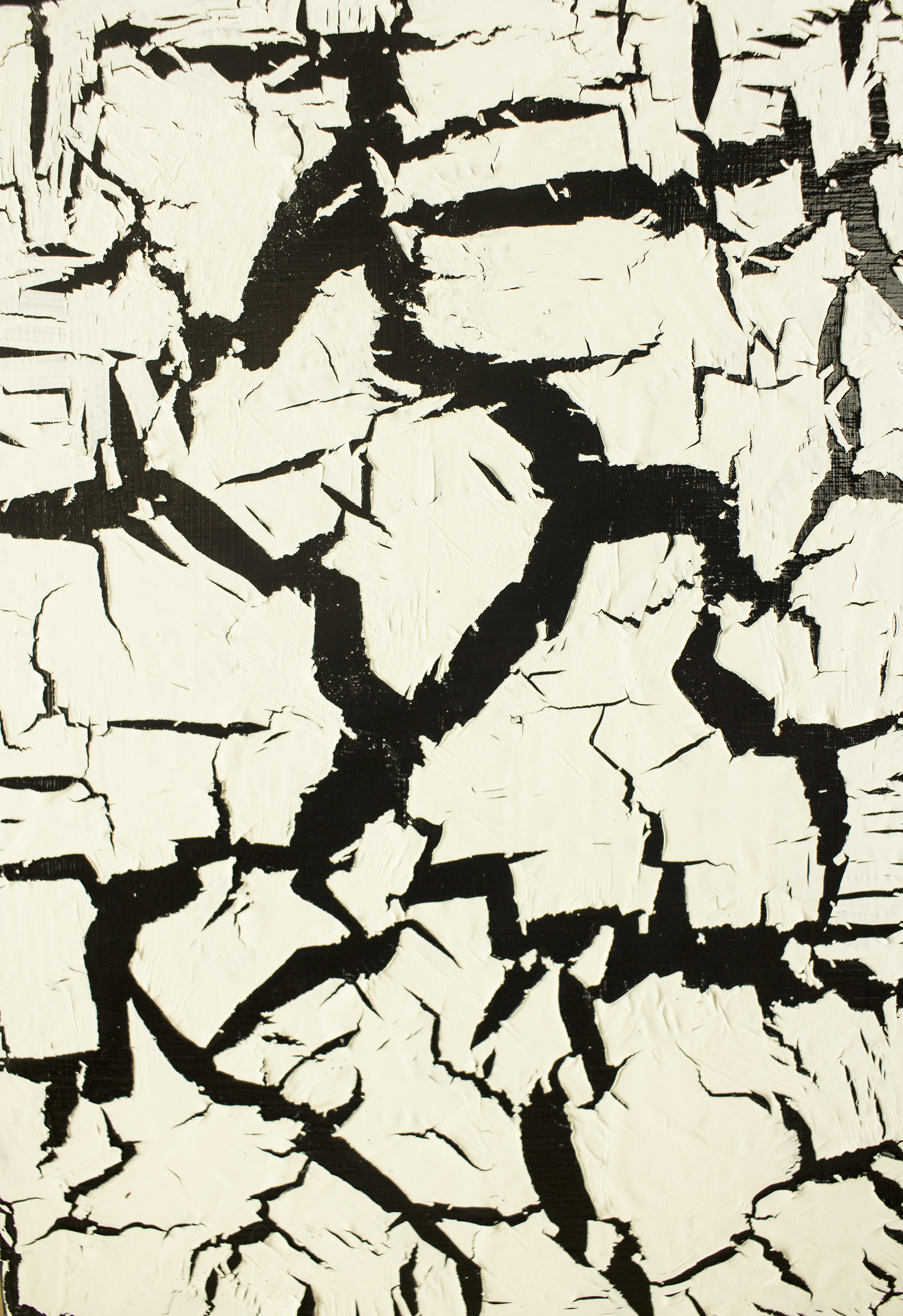 “Nelle crepe: luci e ombre” n°1