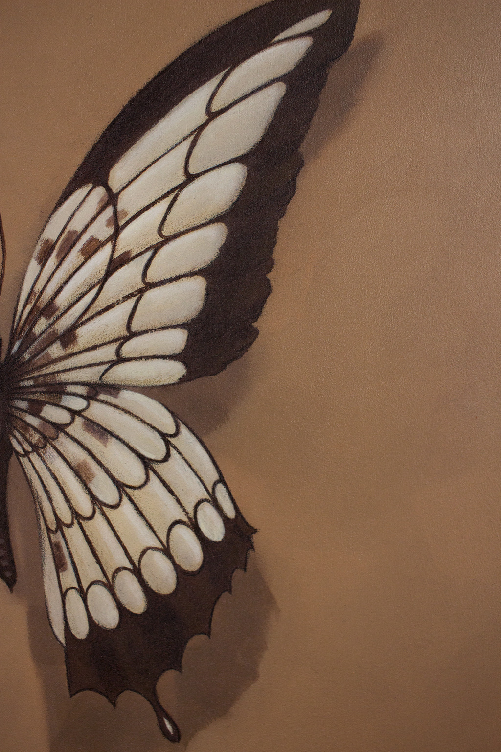 Piccole Bellezze - N°1