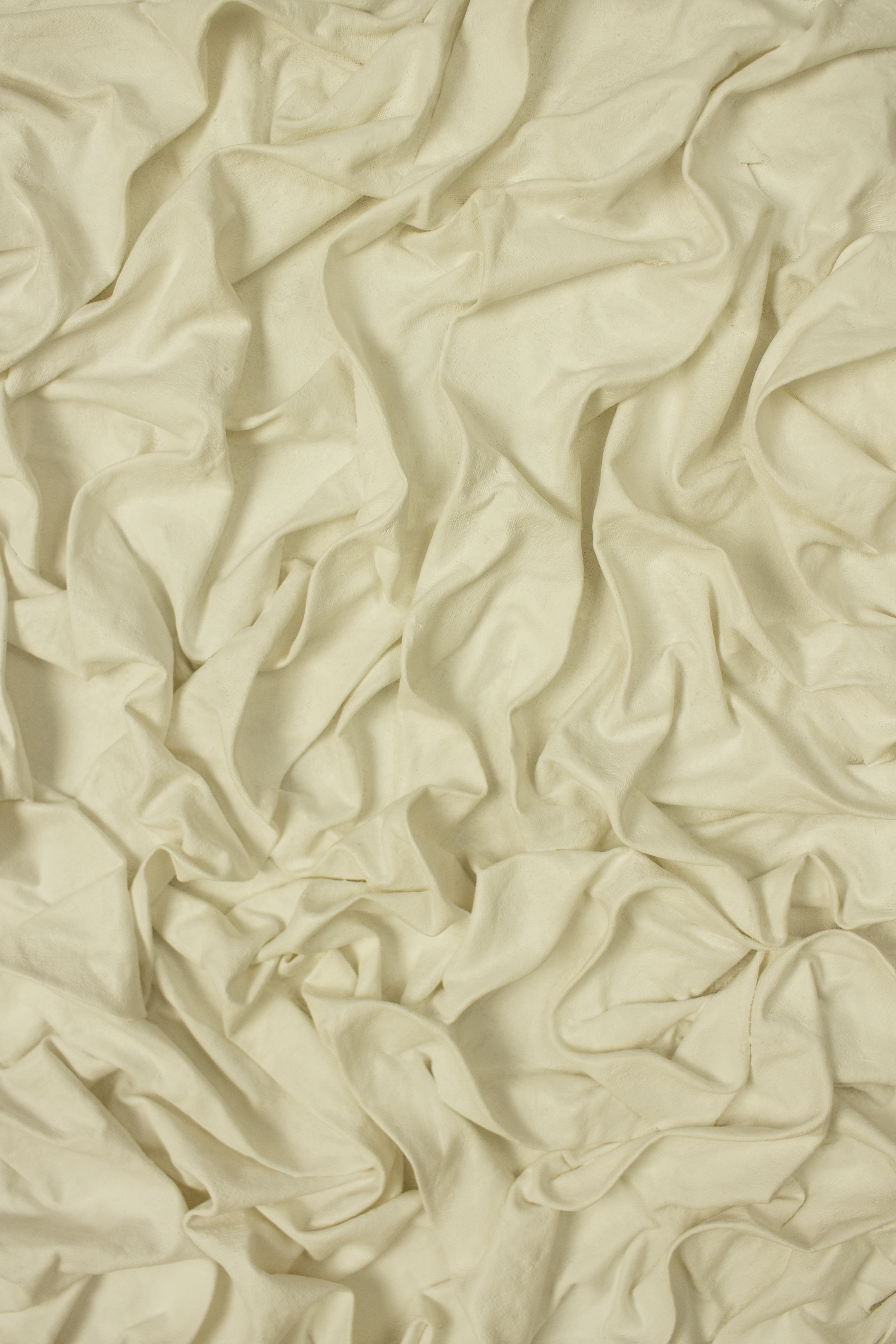 “Gardenia bianca” n°1