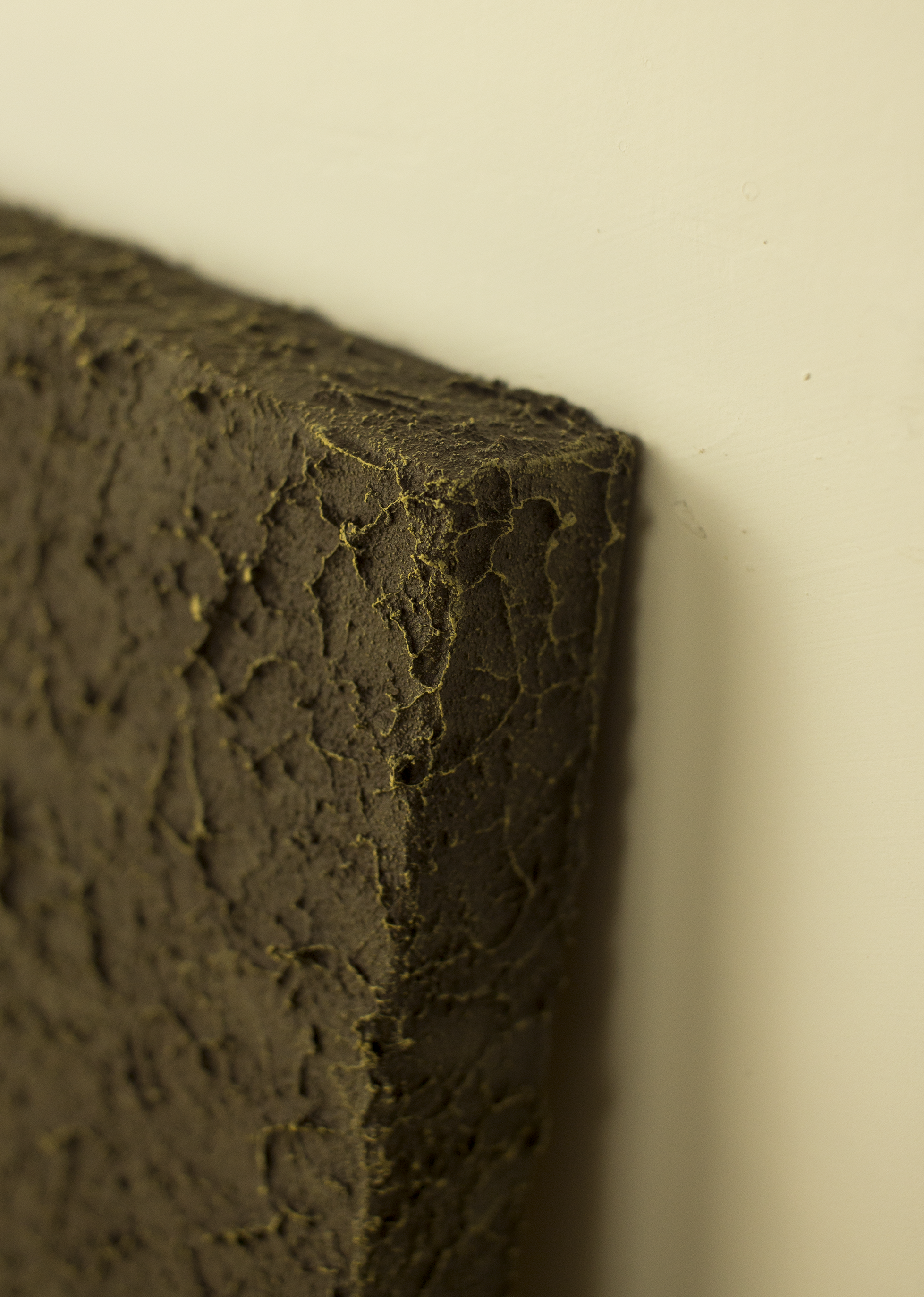 “Radici scoperte” n°1