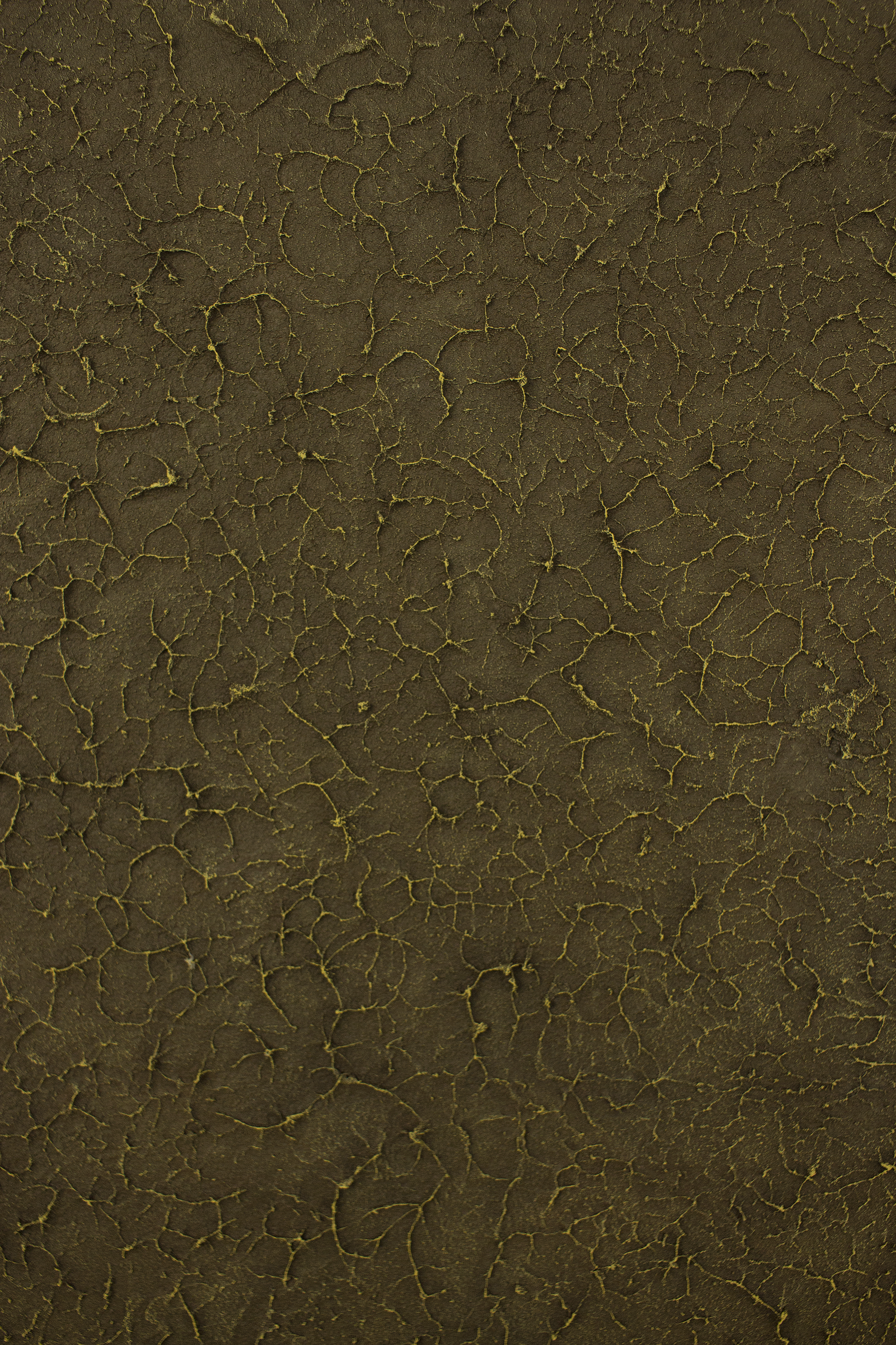 “Radici scoperte” n°1